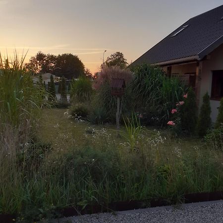 Ptasie Siedlisko Mikołajki Εξωτερικό φωτογραφία